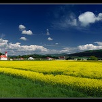 <b>Za dedinou (SK panorama)