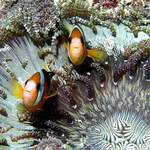 Vítáme Vás v našem novém domě