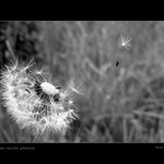 Kam mě vítr odvane :(