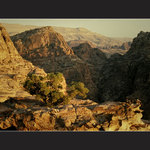 Kde byl Indiana Jones