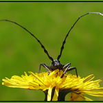 dúfam, že som tam celý!