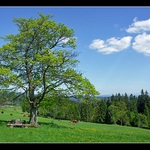 z Valašských kotárů