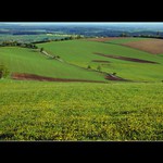 kopečky