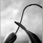 proč jsem pořád tak sám