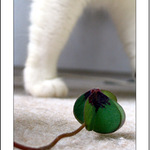 když modelka odchází..