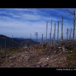 Beskydy po vichřici