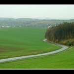 ... vine se jako had