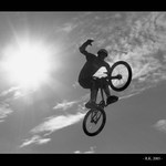 - Volný jako pták -