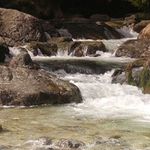 Na potoce v Tatrách