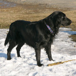 ...a to je už jaro...!?