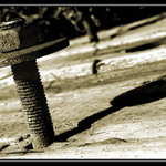 ..: <b> Screw </b> :..