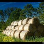 <font color=#00CC00>Jarní I<b><br>