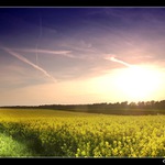 <b><font color=#6D2895>V podvečer I<br>