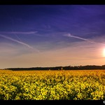 <b><font color=#6D2895>V podvečer II<br>