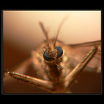 ...mikro - makro...