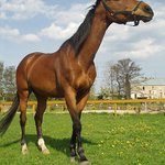 To sluníčko dneska pěkně svítí, to budu opálená jedna dvě