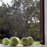 Okno s jablky