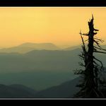 Podvečer v Malé Fatře