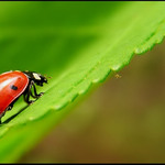 Zase do kopce, ach jo...