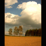 I  I  I      IIIIIIIIIII