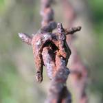 jako ruka kolem dokola