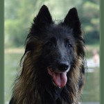 ...tak voda, ta je akorát...