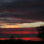 Nejen modrá je dobrá