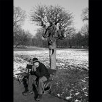 Enti ve Stromovce :o) ?