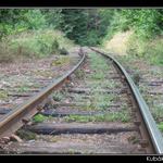 Koleje do ČESKÉ KANADY