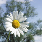 Má, či nemá ma rada