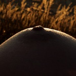 Krásy ostravské přírody