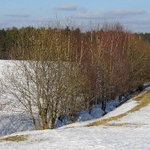 Jarní tání
