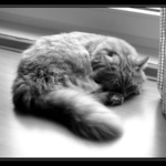 spinkám, malý jsem..