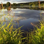 podvečerní rybník