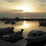 Fažána při západu...