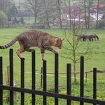 náš malý akrobat...