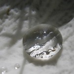 na listu Magnolie....