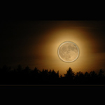 Moon Rise