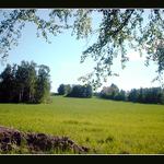 Buková 1
