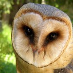 Buďte na sebe hodní...