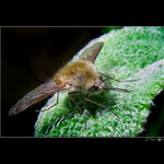 <b> - MEZIPŘISTÁNÍ - </b>