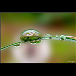 <b> - OTŘELÉ TÉMA - </b>