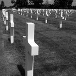 Hřbitov 8000 am. vojáků