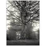 <B>:.ZŮSTAŇ PŘI MĚ.: