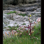 Happiness comes through doors ...