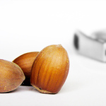 Pro Popelku nebo Marfušku?