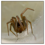 Tváří v tvář...