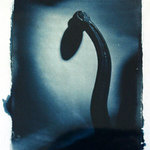 cyanotype 2