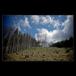 který bude další ?