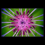 <b>Proti všem konvencím</b>